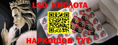 гидропоника Пугачёв