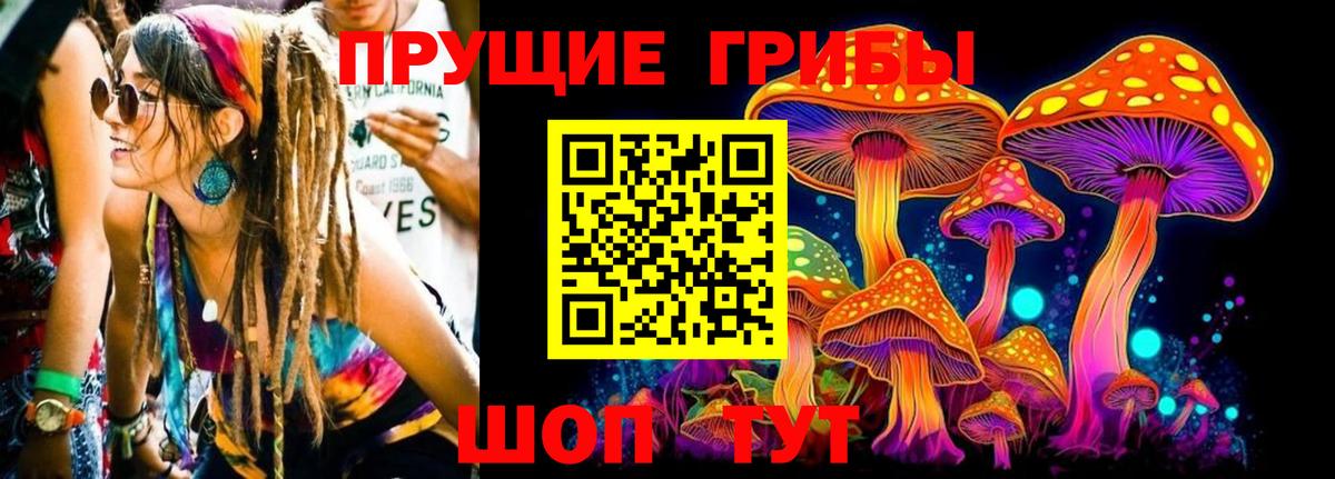 Галлюциногенные грибы ЛСД  наркошоп  Сокол  Вход с VPN 