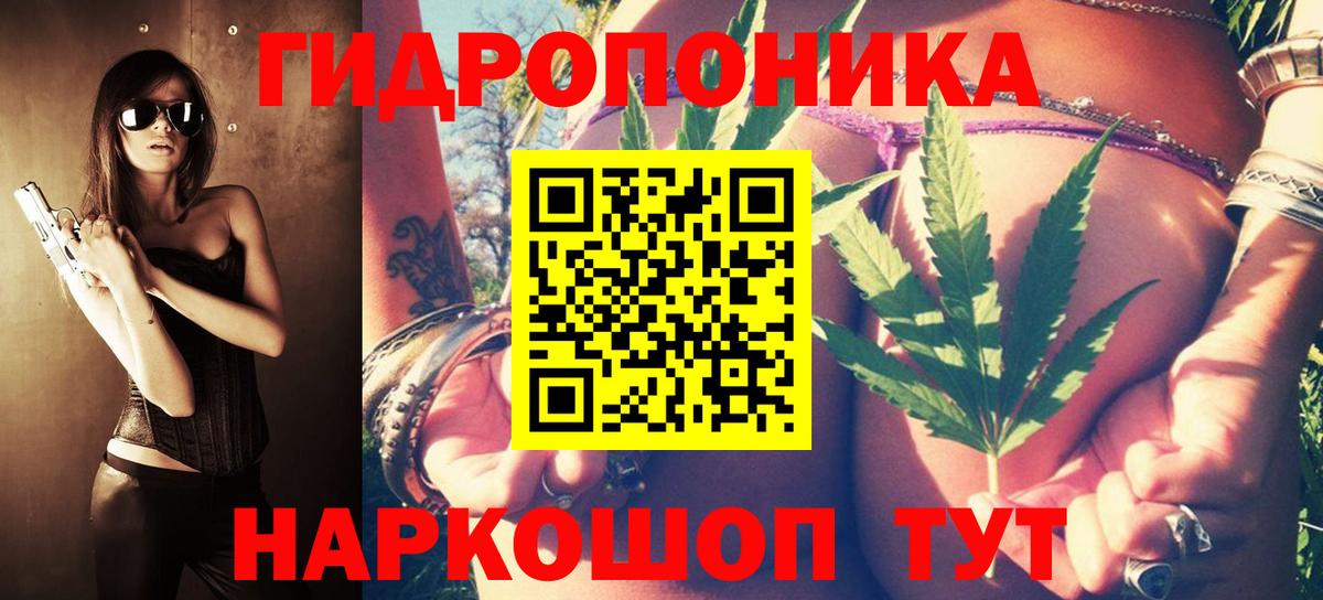 Сокол  Бошки Шишки семена  Шишки марихуана сатива  Марихуана гибрид  Конопля Amnesia  Вход с VPN 